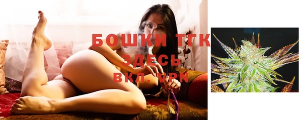 гашик Белокуриха