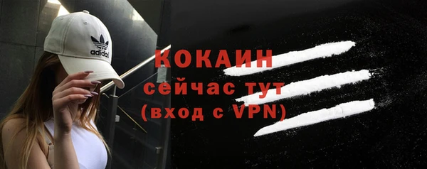 гашик Белокуриха