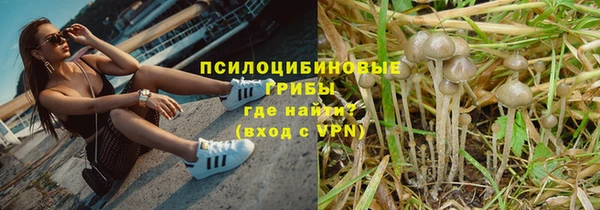 гашик Белокуриха
