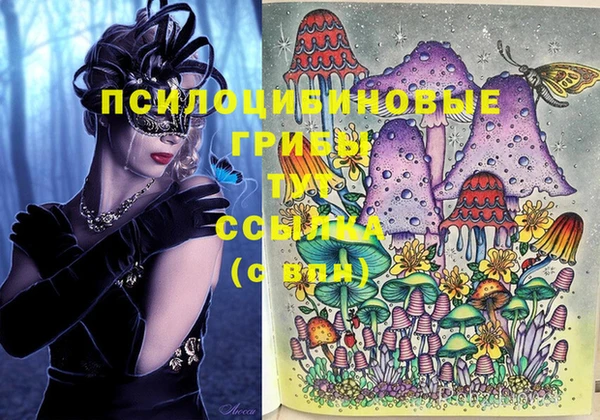 гашик Белокуриха