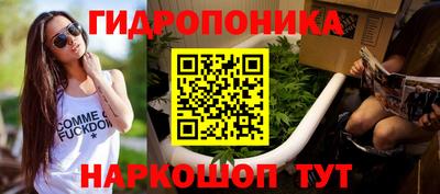 сатива Гусиноозёрск