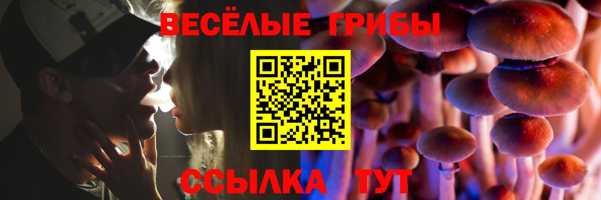 Галлюциногенные грибы MAGIC MUSHROOMS  Псилоцибиновые грибы прущие грибы  Вход с VPN  Гай 